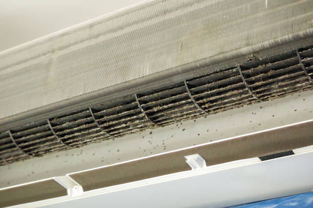 Best Local Air Duct Cleaning Services  in Forestdale, MA